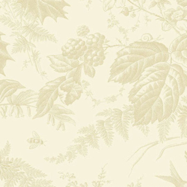 ED_VM10285-L1