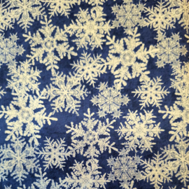 Xmas_design 1301B