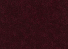 EC_C5500-cranberry