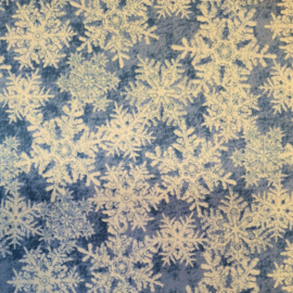 Xmas_design 1302LB