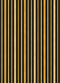 Stripe_107