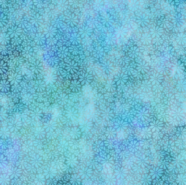 DC_11DCL2