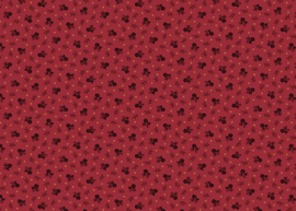 TR_8146-R