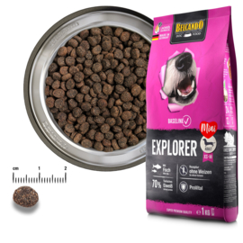 Explorer 1 kg
