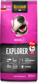 Explorer 1 kg