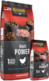Adult Power 12.5 kg