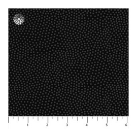 Simply Neutral Black with Gray Dots 22134-99