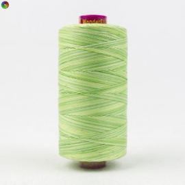 Fruitti Lime FT28