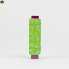 Fruitti Grass FT29