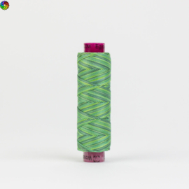 Fruitti Evergreen FT31