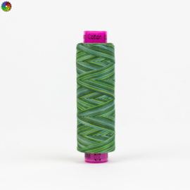Tutti Evergreen TU31