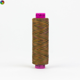 Tutti Box Turtle TU34
