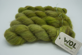 Suri Silk Cloud Moss variegated