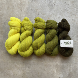 British Wool 4ply Zest V