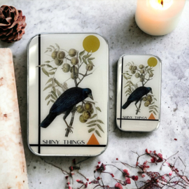FireFly Notions Tin - Shiny Things