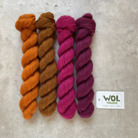 Exmoor Sock  Bilder