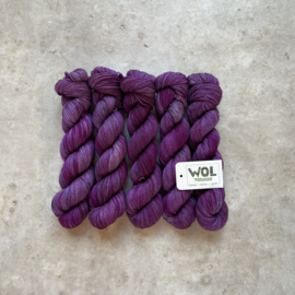 Enkeltje Sock Twist T12/19