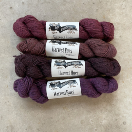 Harvest Hues Worsted Rosebay