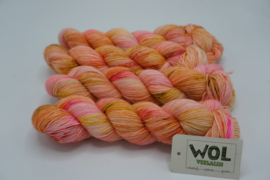 Merino Singles Yuri