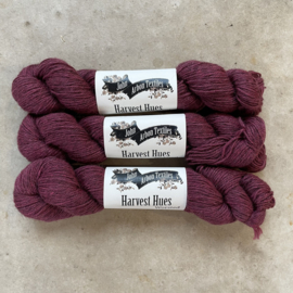 Harvest Hues Worsted Loganberry