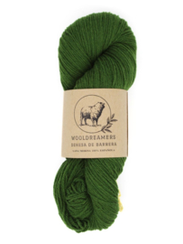 WoolDreamers Dehesa de Barrera 0323 Ulivo en Diciembre