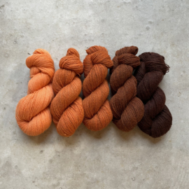 British Wool 4ply Papaya IV