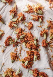 Dyeing Naturally - Emma Kylmälä