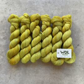 Merino Singles Spring Garden