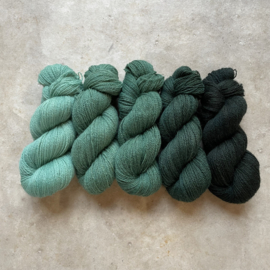 British Wool 4ply Pine Forest V
