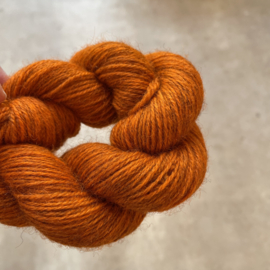 Exmoor Sock  Bilder