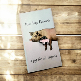 FireFly Notes- Ms Penny Pigsworth