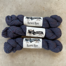 Harvest Hues Worsted Speedwell