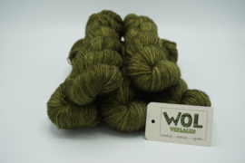Merino Singles Vallei