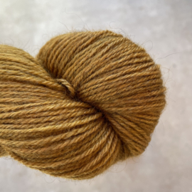 Gotland DK Maple