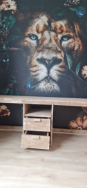 bureau lion