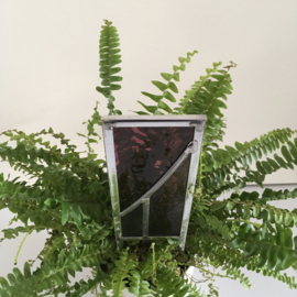 Plant decoratie - paars