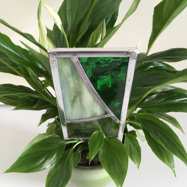 Plant decoratie - groen