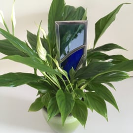 Plant decoratie - blauw