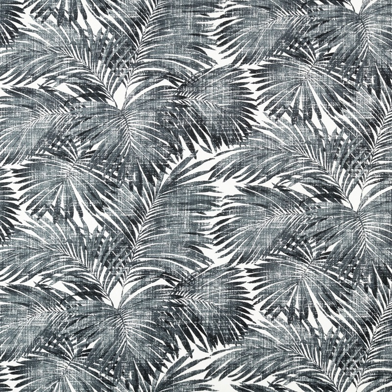 Grijs palmbladeren