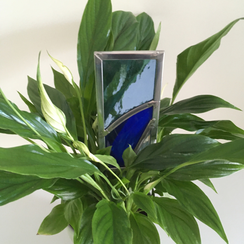 Plant decoratie - blauw