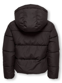 KOGJUTA LIFE SHORT PUFFER OTW NOOS Style No. 15366424 Colour: Chocolate Torte
