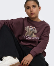 ONLY  KOGBILA L/S OVZ PRINT O-NECK SWT NOOS Style No. 15357903 Colour: Fudge Oui