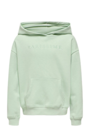 Only kogbillie life hoody birds egg green
