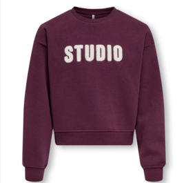ONLY KOGSWEAT LS CREW OVZ STAT SWT NOOS Style No. 15353354 Colour: Fig STUDIO - Terry Emb.