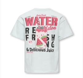 ONLY KOGCANA LIFE SS RLX PRINTED TOP JRS Style No. 15368763 Colour: Wan Blue Melon