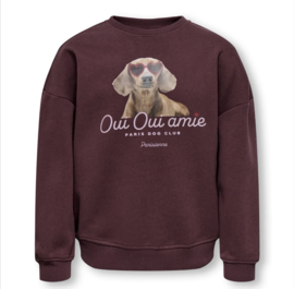ONLY KOGBILA L/S OVZ PRINT O-NECK SWT NOOS Style No. 15357903 Colour: Fudge Oui