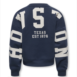 ONLY KOGSWEAT L/S BACK/SLEEVE PRINT SWT NOOS Style No. 15380034 Colour: Night Sky Birch/Houston