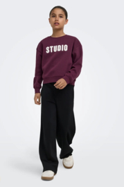 ONLY KOGSWEAT LS CREW OVZ STAT SWT NOOS Style No. 15353354 Colour: Fig STUDIO - Terry Emb.