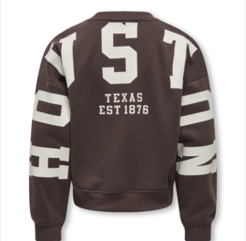 ONLY KOGSWEAT L/S BACK/SLEEVE PRINT SWT NOOS Style No. 15380034 Colour: Coffee Bean Birch/Houston