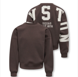 ONLY KOGSWEAT L/S BACK/SLEEVE PRINT SWT NOOS Style No. 15380034 Colour: Coffee Bean Birch/Houston